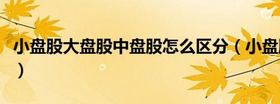小盘股大盘股中盘股怎么区分（小盘股大盘股）