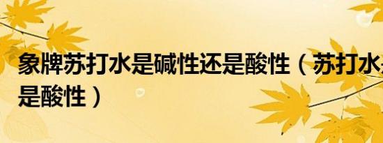 象牌苏打水是碱性还是酸性（苏打水是碱性还是酸性）