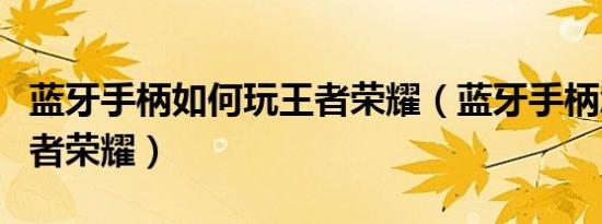 蓝牙手柄如何玩王者荣耀（蓝牙手柄怎么玩王者荣耀）