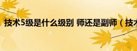技术5级是什么级别 师还是副师（技术5级）