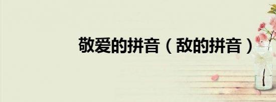 敬爱的拼音（敌的拼音）