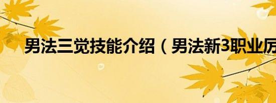 男法三觉技能介绍（男法新3职业厉害）