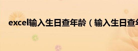 excel输入生日查年龄（输入生日查年龄）