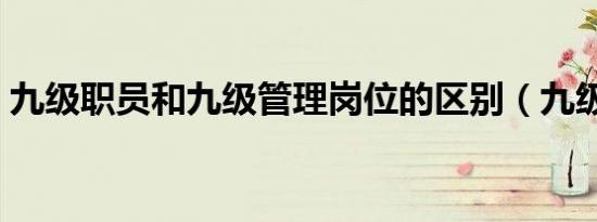 九级职员和九级管理岗位的区别（九级职员）