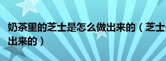 奶茶里的芝士是怎么做出来的（芝士是怎么做出来的）