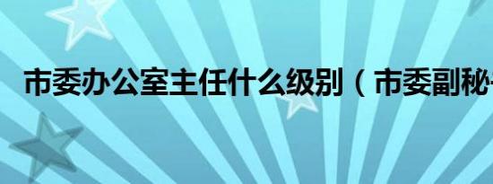 市委办公室主任什么级别（市委副秘书长）