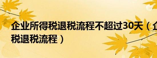 企业所得税退税流程不超过30天（企业所得税退税流程）