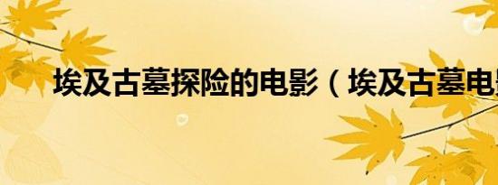 埃及古墓探险的电影（埃及古墓电影）