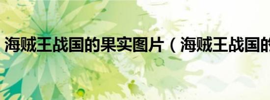 海贼王战国的果实图片（海贼王战国的果实）