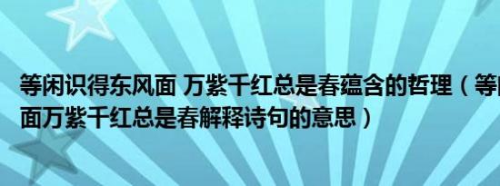 等闲识得东风面 万紫千红总是春蕴含的哲理（等闲识得东风面万紫千红总是春解释诗句的意思）