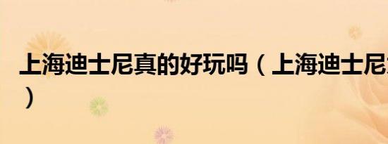 上海迪士尼真的好玩吗（上海迪士尼太可怕了）