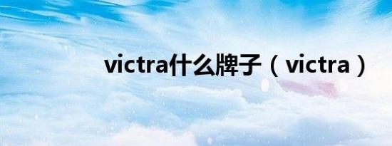 victra什么牌子（victra）