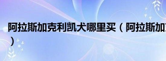 阿拉斯加克利凯犬哪里买（阿拉斯加克利凯犬）