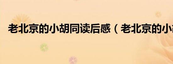 老北京的小胡同读后感（老北京的小胡同）