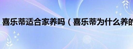 喜乐蒂适合家养吗（喜乐蒂为什么养的人少）