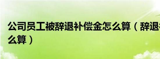 公司员工被辞退补偿金怎么算（辞退补偿金怎么算）