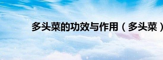 多头菜的功效与作用（多头菜）