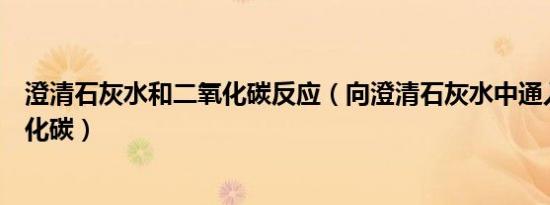 澄清石灰水和二氧化碳反应（向澄清石灰水中通入过量二氧化碳）