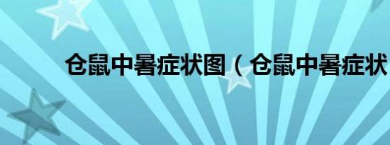 仓鼠中暑症状图（仓鼠中暑症状）