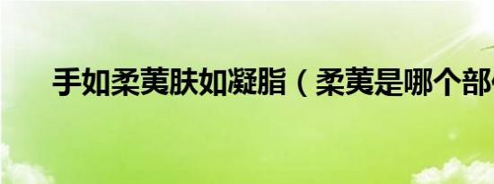 手如柔荑肤如凝脂（柔荑是哪个部位）