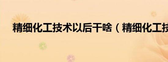 精细化工技术以后干啥（精细化工技术）