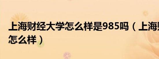 上海财经大学怎么样是985吗（上海财经大学怎么样）