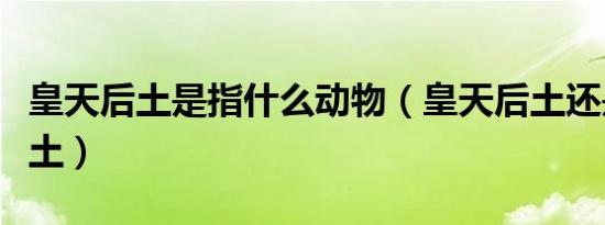 皇天后土是指什么动物（皇天后土还是黄天厚土）