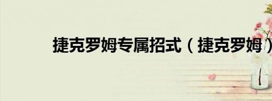 捷克罗姆专属招式（捷克罗姆）