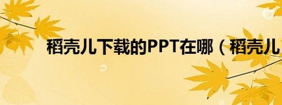 稻壳儿下载的PPT在哪（稻壳儿）