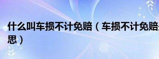 什么叫车损不计免赔（车损不计免赔是什么意思）