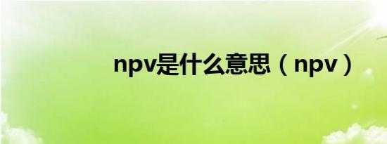 npv是什么意思（npv）