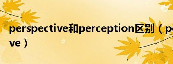 perspective和perception区别（perspective）
