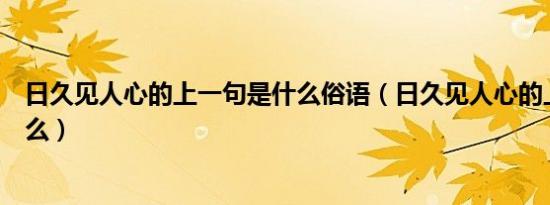 日久见人心的上一句是什么俗语（日久见人心的上一句是什么）