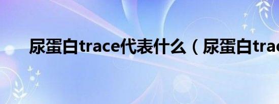 尿蛋白trace代表什么（尿蛋白trace）