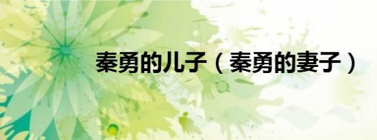 秦勇的儿子（秦勇的妻子）
