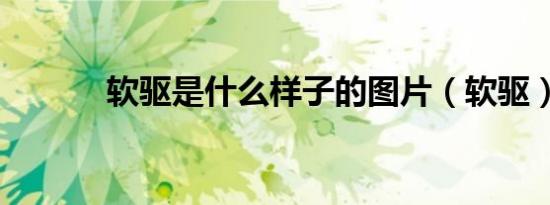 软驱是什么样子的图片（软驱）