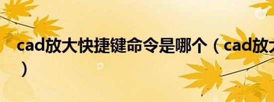 cad放大快捷键命令是哪个（cad放大快捷键）
