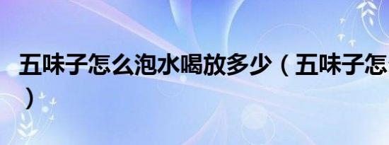 五味子怎么泡水喝放多少（五味子怎么泡水喝）