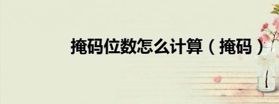 掩码位数怎么计算（掩码）
