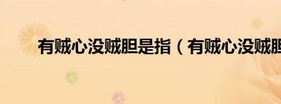 有贼心没贼胆是指（有贼心没贼胆）