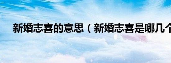 新婚志喜的意思（新婚志喜是哪几个字）