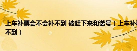 上车补票会不会补不到 被赶下来和谐号（上车补票会不会补不到）