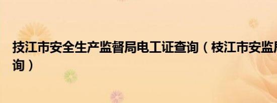 技江市安全生产监督局电工证查询（枝江市安监局电工证查询）