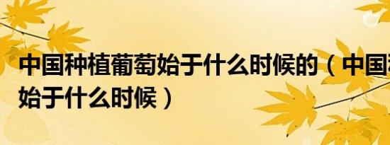 中国种植葡萄始于什么时候的（中国种植葡萄始于什么时候）