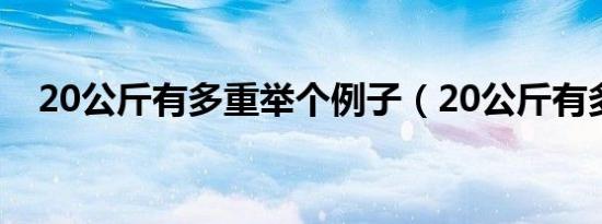 20公斤有多重举个例子（20公斤有多重）