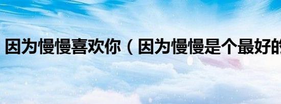 因为慢慢喜欢你（因为慢慢是个最好的原因）