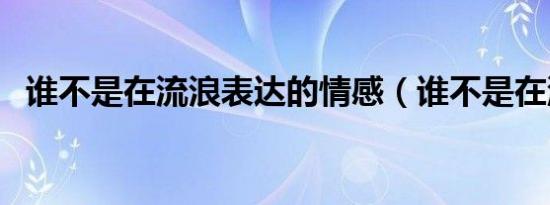 谁不是在流浪表达的情感（谁不是在流浪）