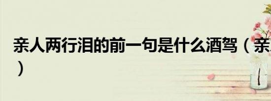亲人两行泪的前一句是什么酒驾（亲人两行泪）