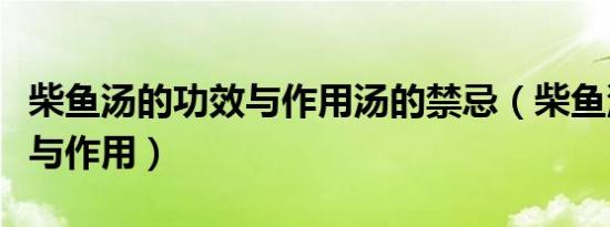 柴鱼汤的功效与作用汤的禁忌（柴鱼汤的功效与作用）