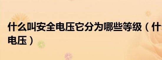 什么叫安全电压它分为哪些等级（什么叫安全电压）